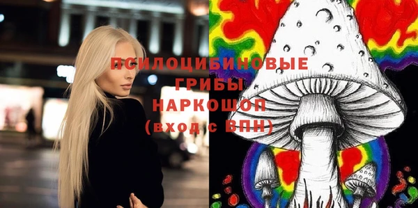 mdpv Володарск